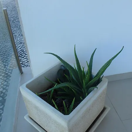 Na Casa Da Andreia * Sao Martinho do Porto