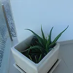 Privada Confortavel Com Piscina Em * Сан-Мартинью-ду-Порту