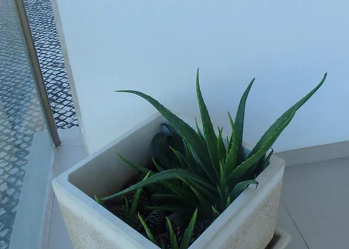 Na Casa Da Andreia * Sao Martinho do Porto