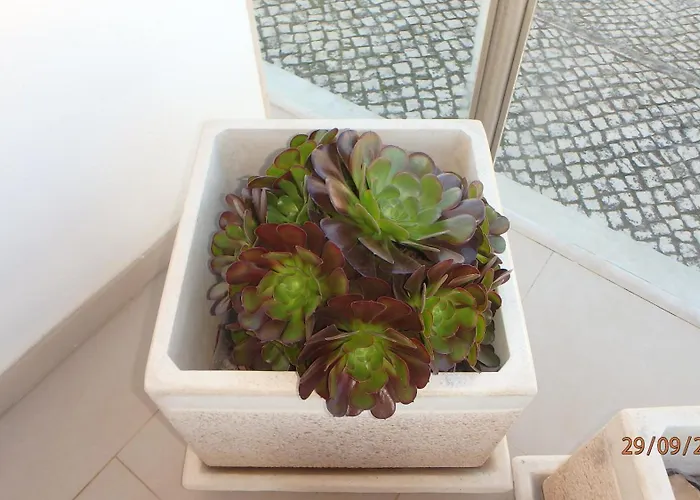 Na Casa Da Andreia *